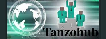 Unlocking the Potential of Tanzohub: Revolutionizing Tanzanian Tech